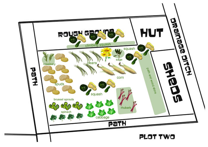 plot 2 planting detail